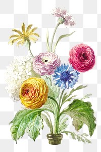 PNG Vintage flower illustration , collage element, transparent background