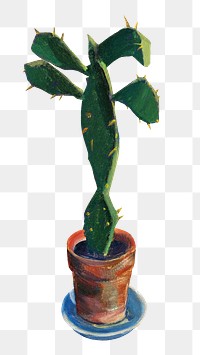 PNG Cactus pot plant, vintage houseplant illustration by Ilmari Aalto, transparent background. Remixed by rawpixel.