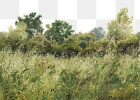 PNG Oats field meadow landscape, vintage illustration by P. C. Skovgaard, transparent background. Remixed by rawpixel.