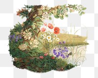 PNG Vintage wildflowers, botanical illustration by Christine Lovmand, transparent background. Remixed by rawpixel.