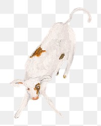 Calf png baby cow, animal illustration by Cyprian Majernik on transparent background. Remixed by rawpixel.