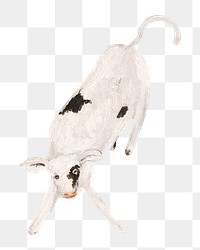 Calf png baby cow, animal illustration by Cyprian Majernik on transparent background. Remixed by rawpixel.