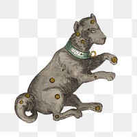 Canis Manor dog png constellation, astrology animal illustration by Ignace Gaston Pardies on transparent background. Remixed by rawpixel.