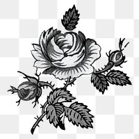 PNG Rose flower black and white transparent background. Remixed by rawpixel.