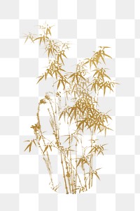 Vintage gold bamboo png on transparent background. Remixed by rawpixel.