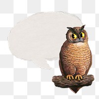 Owl png speech bubble sticker, transparent background. Remixed by rawpixel.