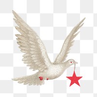 Flying dove with star png, bird illustration, transparent background. Remixed by rawpixel.