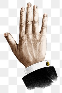 Businessman's hand png, vintage gesture illustration, transparent background. Remixed by rawpixel.