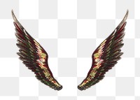 Angel's wings png, vintage illustration on transparent background. Remixed by rawpixel.