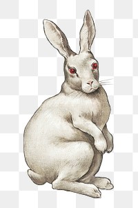 Rabbit png, vintage animal illustration, transparent background. Remixed by rawpixel.