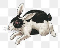 Rabbit png, vintage animal illustration, transparent background. Remixed by rawpixel.