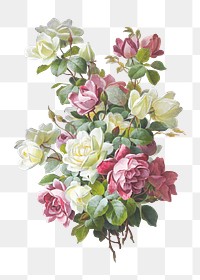 Rose flower bouquet png, vintage illustration by Paul de Longpr&eacute;, transparent background. Remixed by rawpixel.