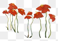 Red vintage png flowers illustration by Zolo Palugyay, transparent background. Remixed by rawpixel.