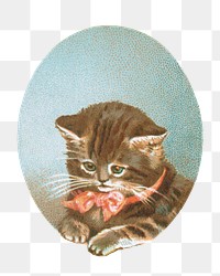 Cute little kitten png, vintage cat illustration, transparent background. Remixed by rawpixel.