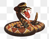 Vintage rattlesnake png, transparent background. Remixed by rawpixel.