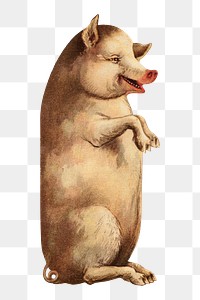 Vintage sitting pig png, transparent background. Remixed by rawpixel. 