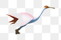 Vintage crane png bird, transparent background. Remixed by rawpixel. 