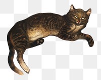 Vintage lying cat png, transparent background. Remixed by rawpixel. 