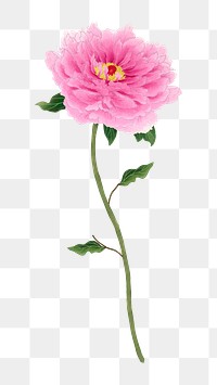 PNG pink flower, collage element, transparent background