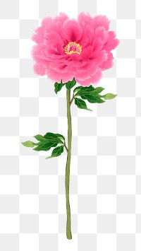 PNG pink flower, collage element, transparent background