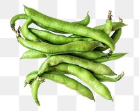 Board beans png collage element on transparent background