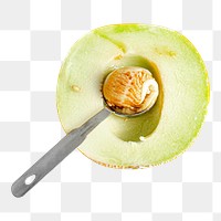 Melon png collage element, transparent background