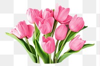 Pink tulip png bouquet, transparent background