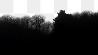 PNG Dark forest silhouette border, transparent background
