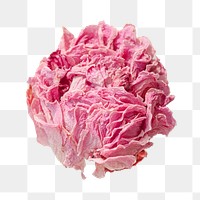 Pink peony png collage element, transparent background