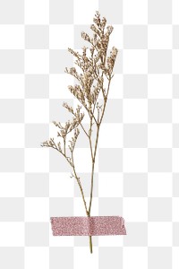 Dried flower png journal collage, transparent background