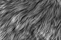 Transparent fur png texture collage element