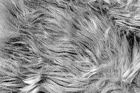 Transparent fur png texture collage element