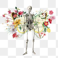 Floral skeleton png sticker, mixed media transparent background