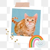 Ginger cat png instant film photo, transparent background