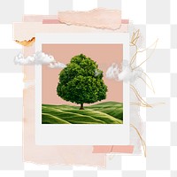 Tree instant photo png sticker, transparent background