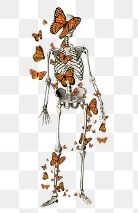 Skeleton & butterfly png sticker, transparent background