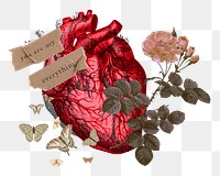 Human heart love png sticker, transparent background