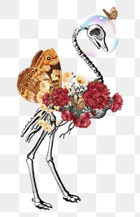 Surreal bird skeleton png sticker, flower collage, transparent background