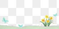 Easter border png daffodil flower sticker, transparent background