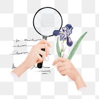 Botanical studies png sticker, creative education paper collage on transparent background