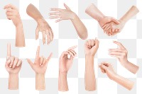 Realistic hand gestures png sticker set, transparent background