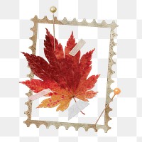 Maple leaf png sticker, autumn foliage transparent background