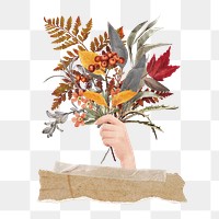 Autumn leaf branch png sticker, transparent background