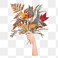 Autumn leaves png sticker, transparent background