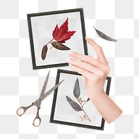 Aesthetic Autumn png sticker, paper collage, transparent background