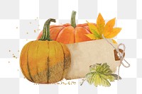 Aesthetic Autumn pumpkin png sticker, paper collage, transparent background