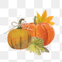 Aesthetic Autumn pumpkin png sticker, botanical collage, transparent background