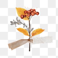 Autumn leaf branch  png sticker, transparent background