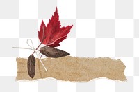 Maple leaf ripped paper  png sticker, transparent background