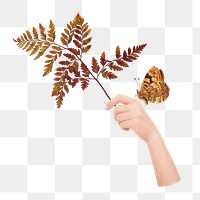 Autumn leaf branch  png sticker, transparent background